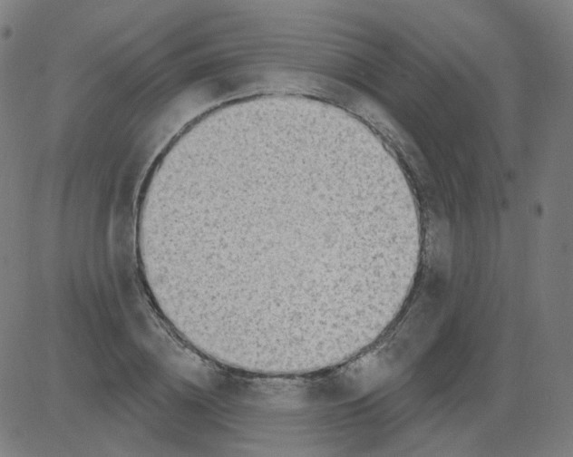 X0000081480836200702100003