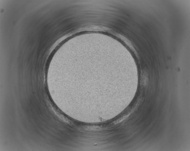 X0000081480837200702100003
