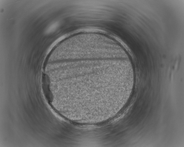 X0000081480853200702100003