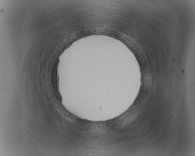 X0000081480865200702100002