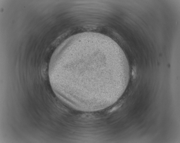 X0000081480867200702100002