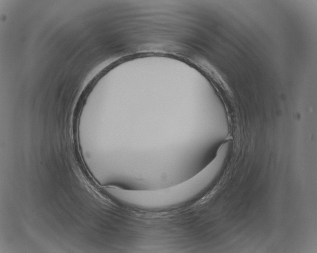 X0000081480884200702100002