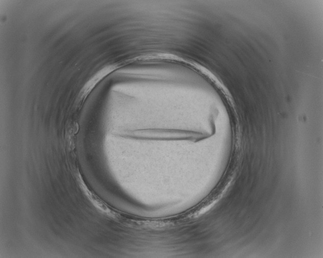 X0000081480905200702100002