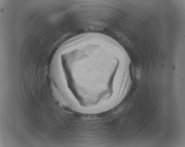 X0000081480915200702100001
