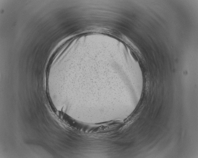 X0000081480940200702100001