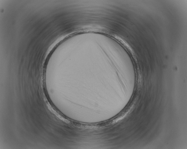 X0000081480941200702100001