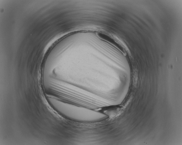 X0000081480944200702100001