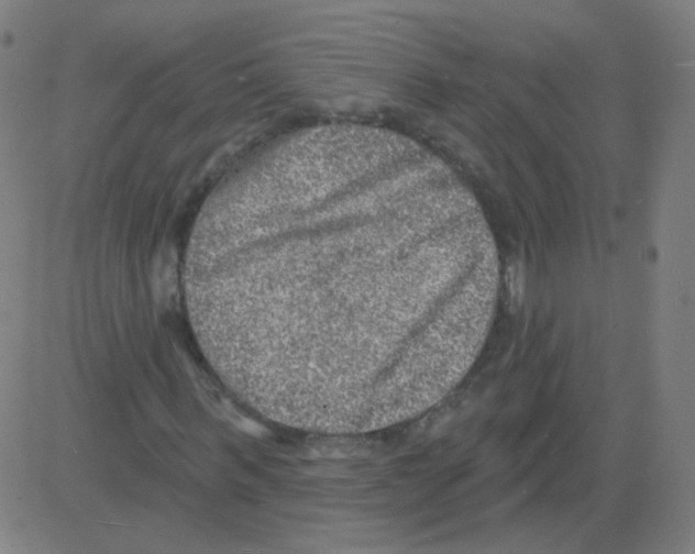 X0000081480963200702100001