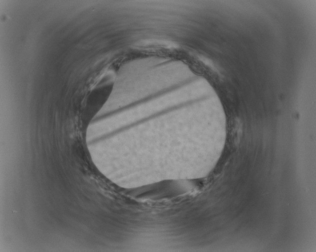 X0000081480965200702100001