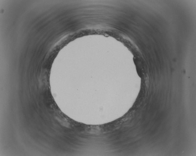 X0000081480968200702100001
