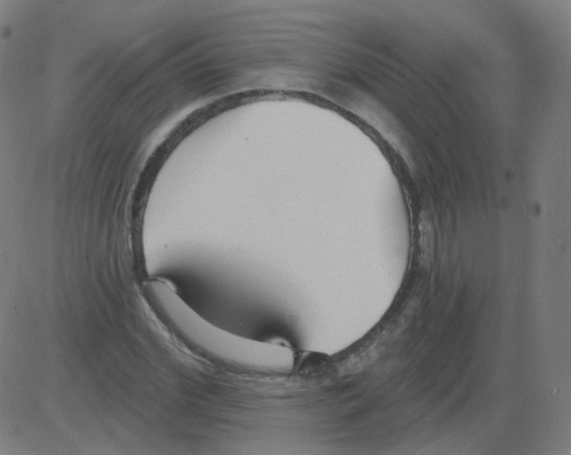 X0000081480972200702100001