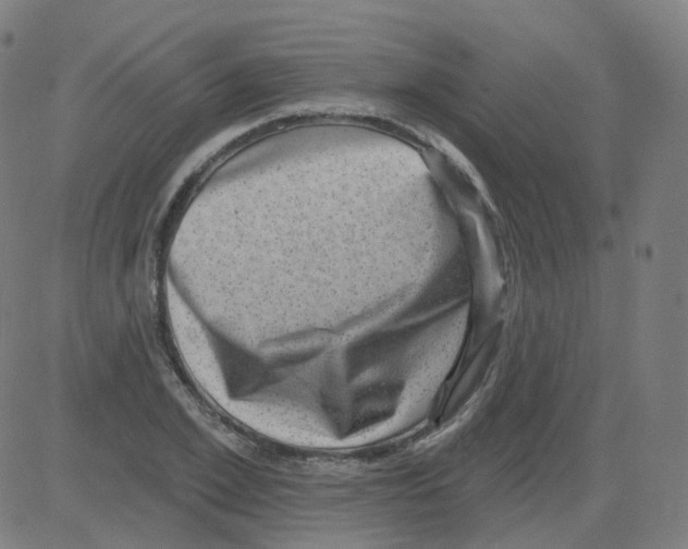 X0000081480981200702100000