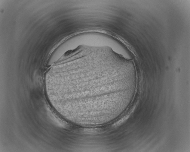 X0000081480985200702100000