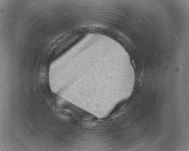 X0000081481014200702092359