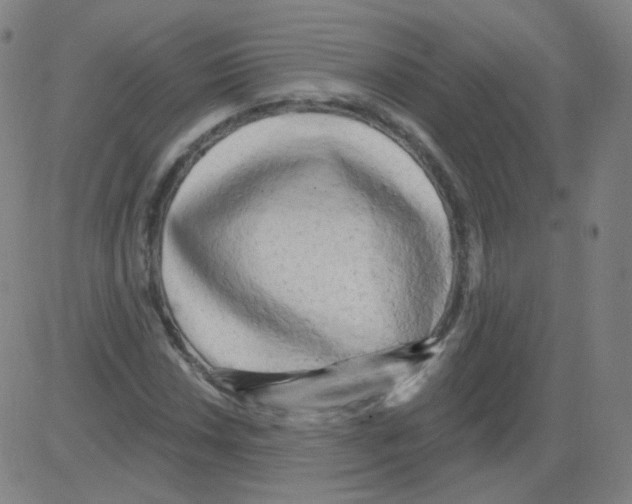 X0000081481018200702092359