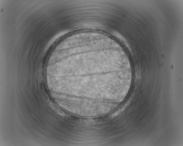 X0000081481019200702092359