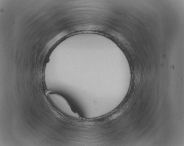 X0000081481073200702092359