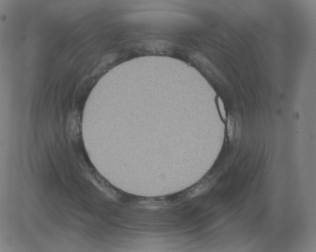 X0000081481107200702092358