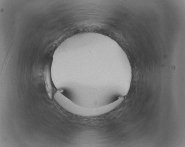 X0000081481109200702092358