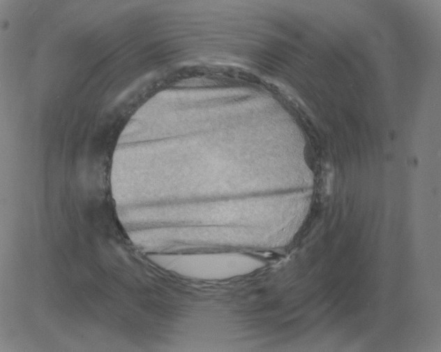 X0000081481110200702092358