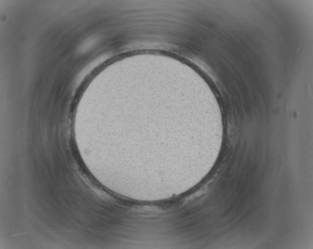 X0000081481119200702092358
