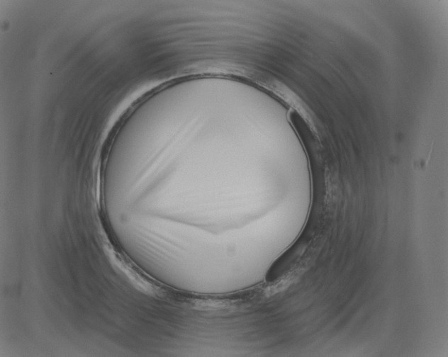X0000081481132200702092358