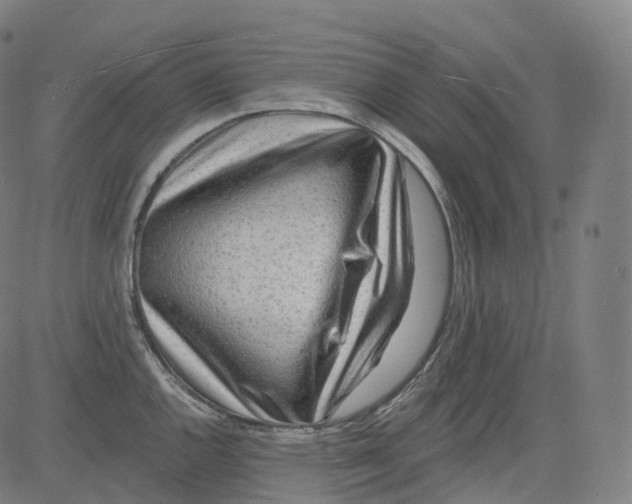 X0000081481144200702092358