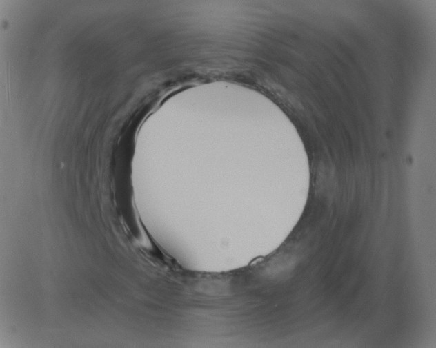 X0000081481153200702092358