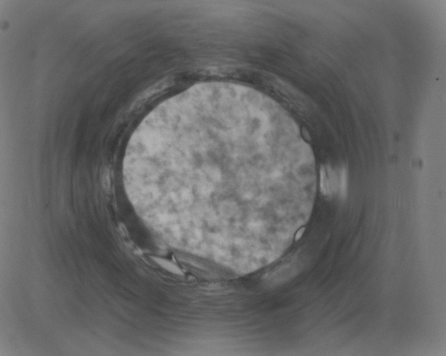 X0000081481155200702092358