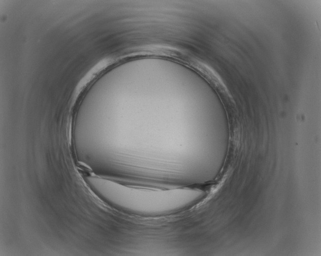 X0000081481180200702092357