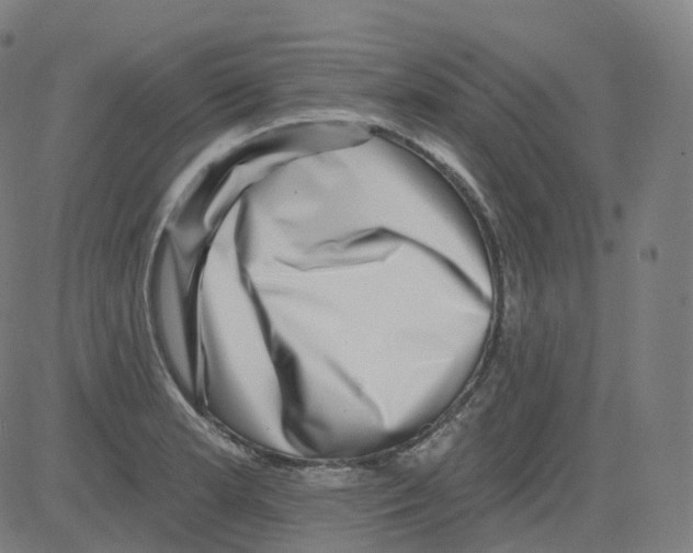 X0000081481181200702092357