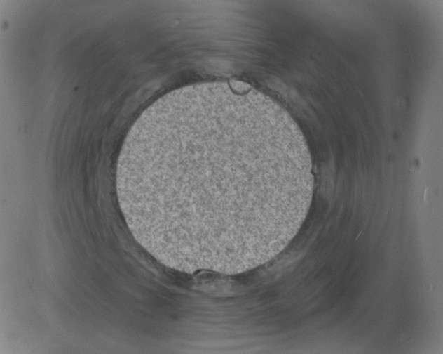 X0000081481201200702092356
