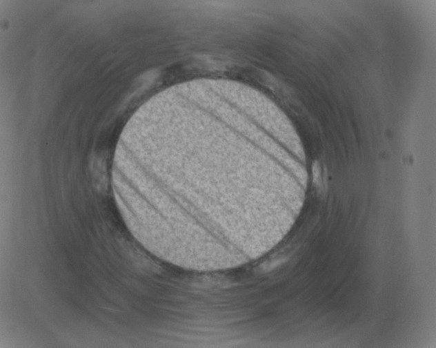 X0000081481203200702092356