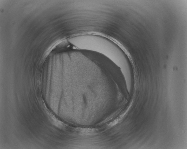 X0000081481289200702092355