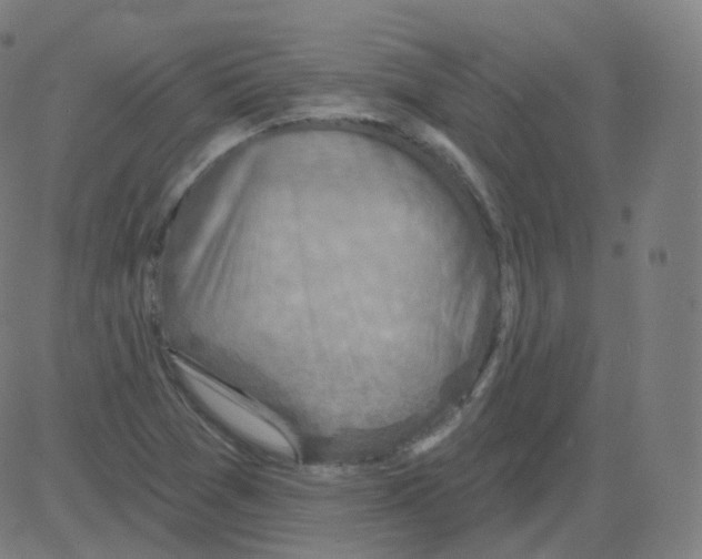 X0000081481361200702092354