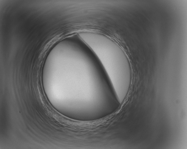 X0000081490001200701121124