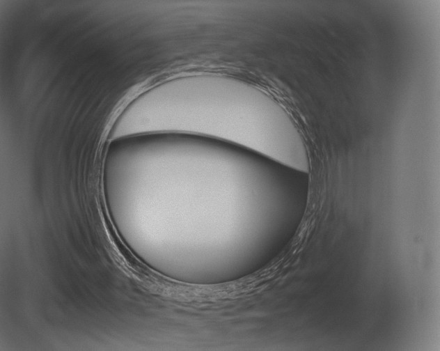 X0000081490003200701121124