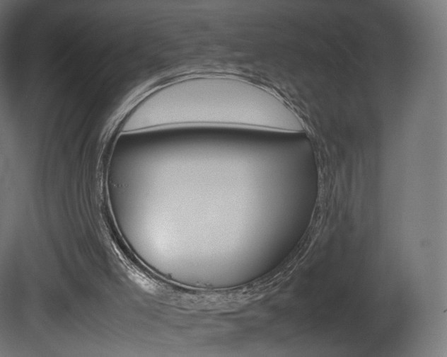X0000081490005200701121124