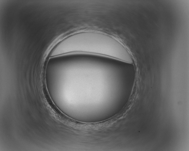 X0000081490007200701121124