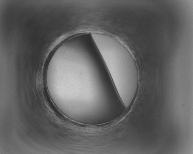 X0000081490008200701121124