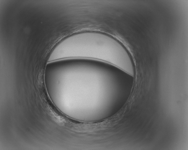 X0000081490009200701121124