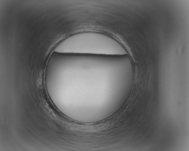 X0000081490010200701121124