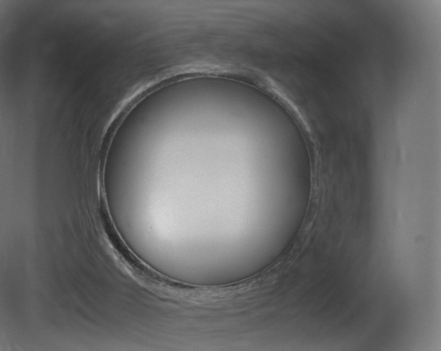 X0000081490011200701121124