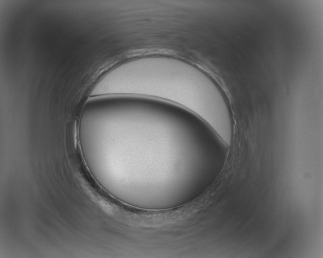 X0000081490013200701121124