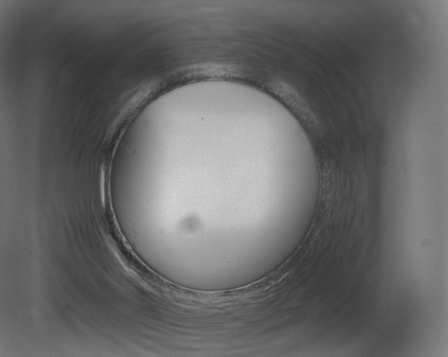 X0000081490014200701121124