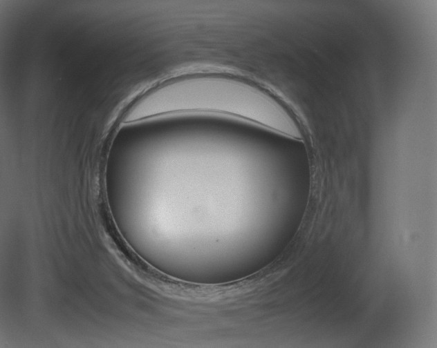 X0000081490015200701121124