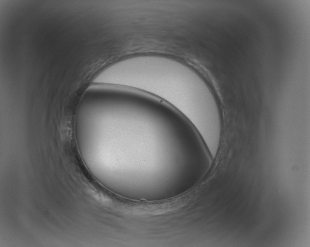 X0000081490017200701121124