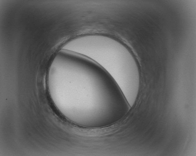 X0000081490019200701121124
