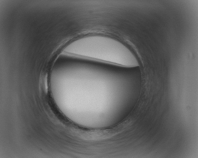 X0000081490020200701121124