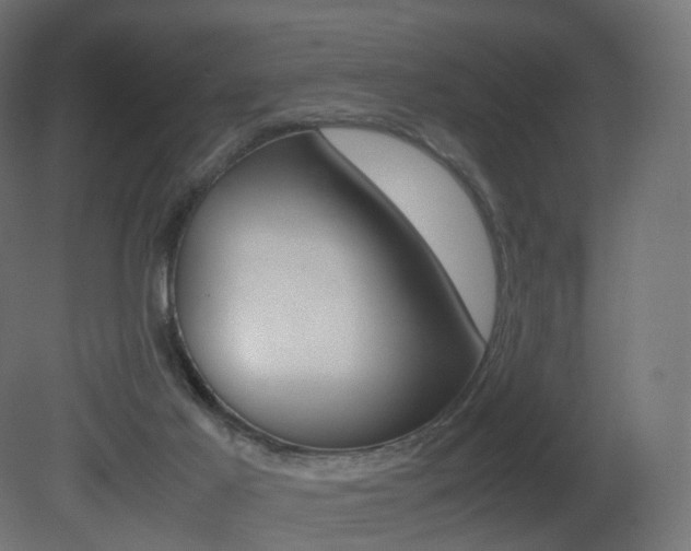 X0000081490021200701121124